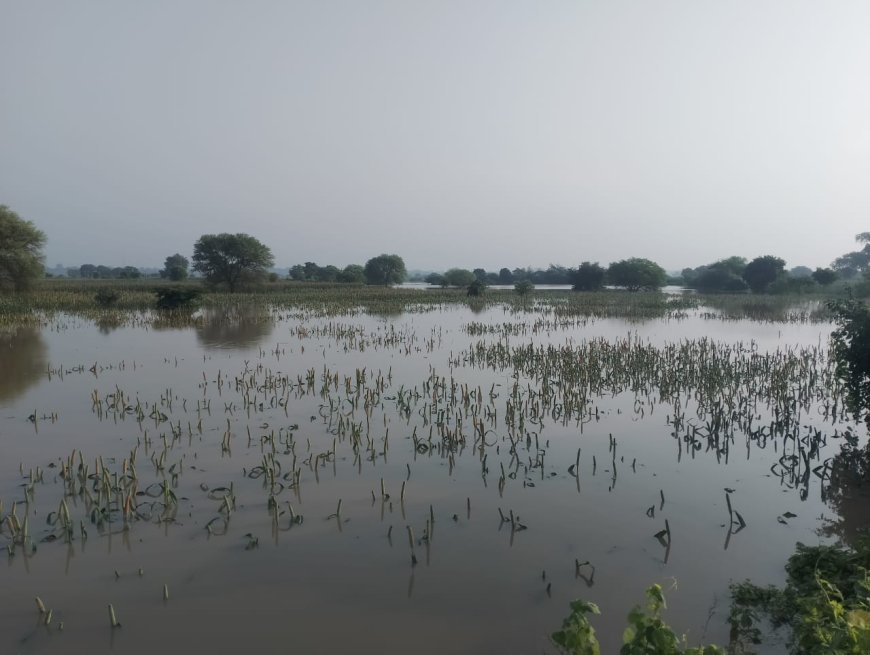 चम्बल में जलस्तर उतार पर, ऊटंगन में लगातार बढ़ोत्तरी, कई गाँव जलमग्न