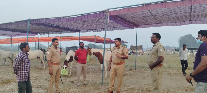 बटेश्वर में घोड़ा बाजार की रौनक देखते बनेगी, कल से शुरू हो रहा पशु मेला 