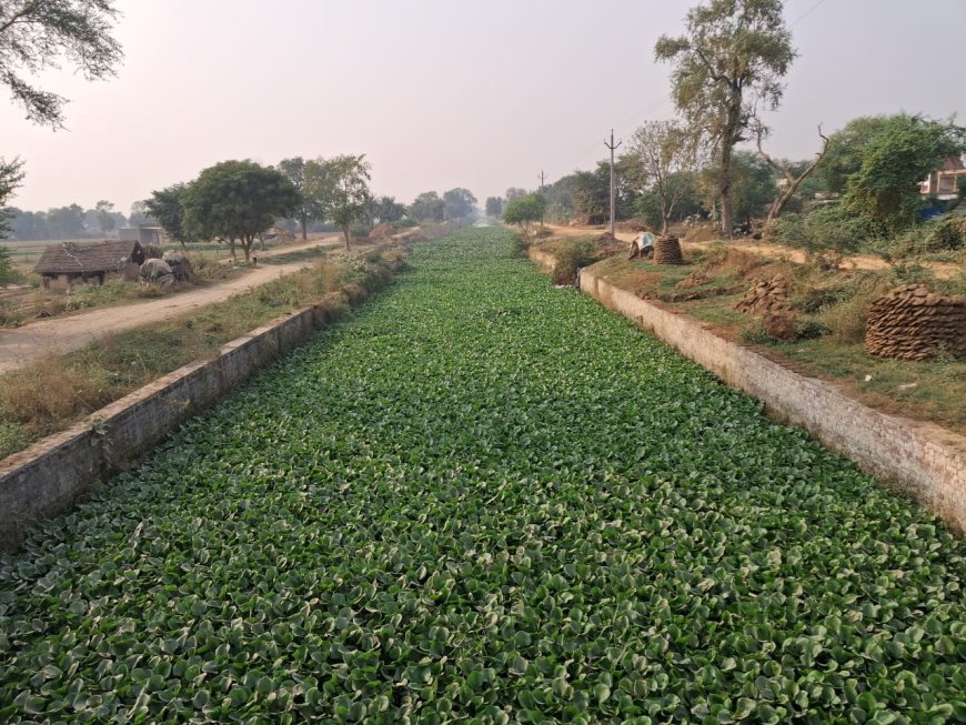 किसानों का प्रदर्शन के बाद बोले डीएम- नहरों की सफाई की जांच कराउंगा