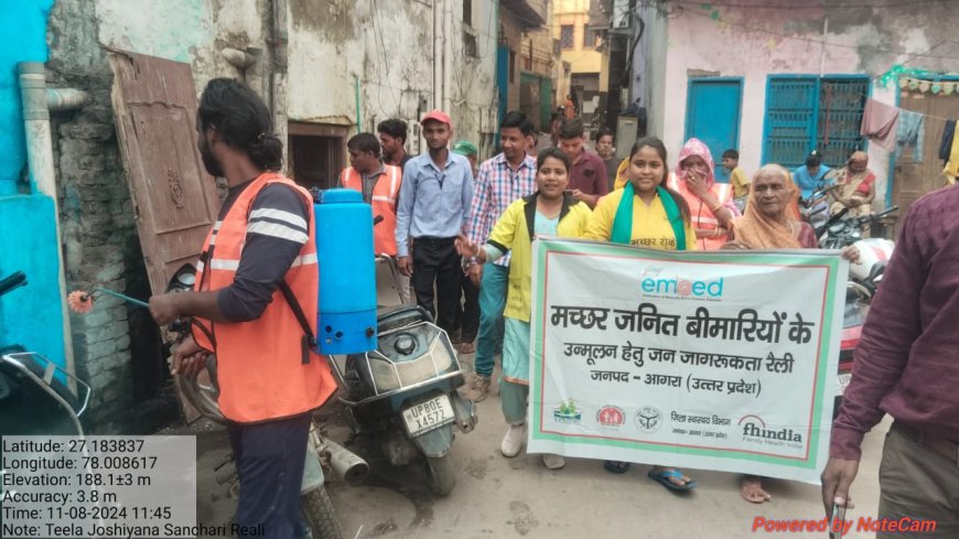 डेंगू, मलेरिया, चिकनगुनिया! मच्छरों को पनपने से रोक सकते हैं, कैसे ये सीएमओ ने समझाया