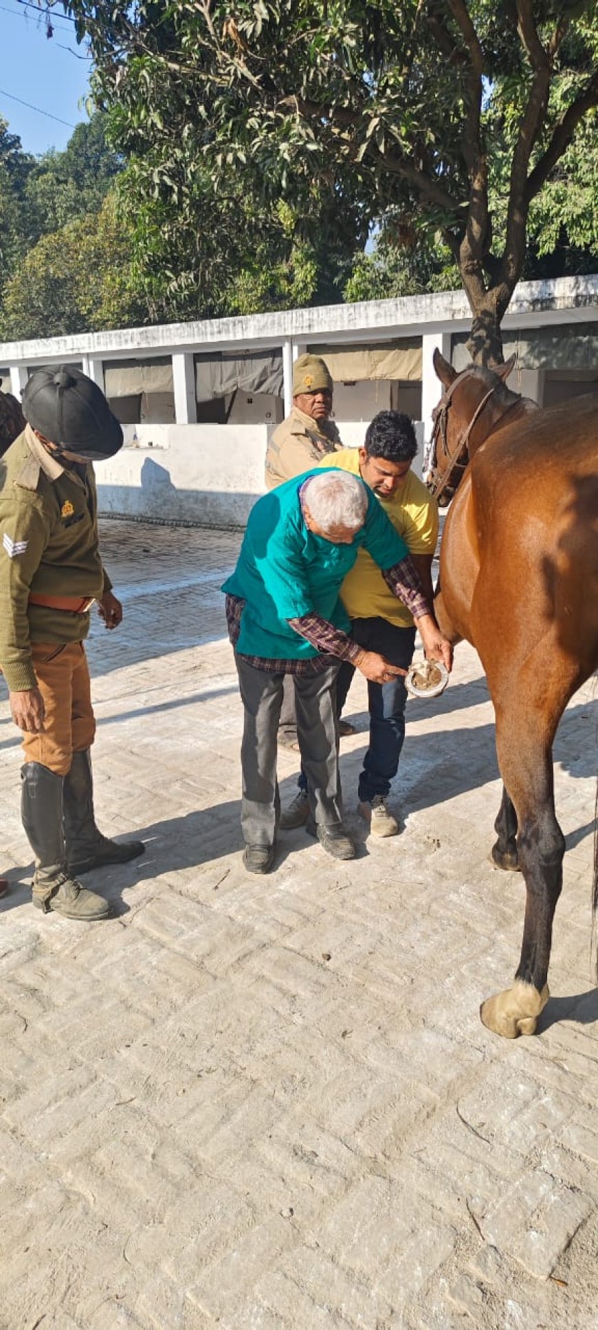 प्रयागराज महाकुंभ जाने वाले पुलिस के घोड़ों की भी सेहत जांची जा रही