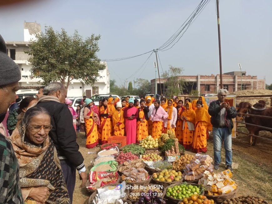 नये साल पर गायों को अर्पित किए 56 भोग